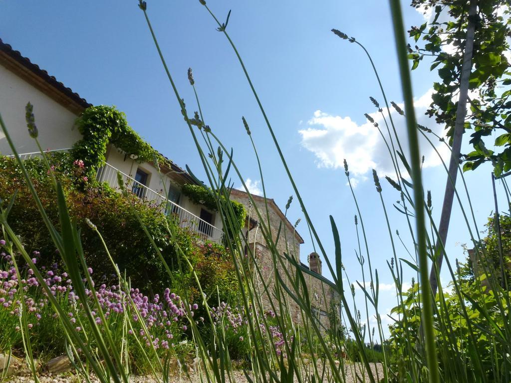 Casarciccia Pensionat Todi Værelse billede